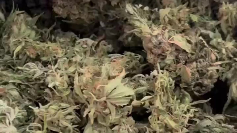Trimming